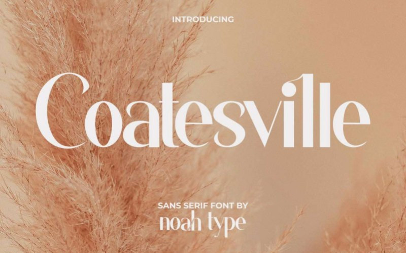 Coatesville Sans Serif Font