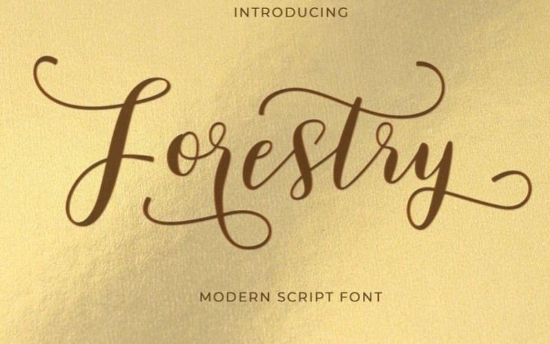 Forestry Calligraphy Font