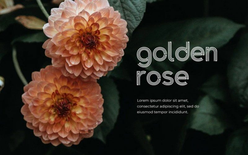 Golden Arrow Display Font