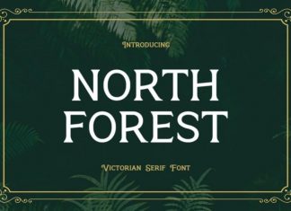 North Forest Serif Font