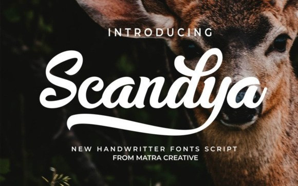 Scandya Script Font