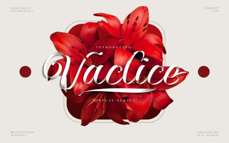 Vaclice Script Font