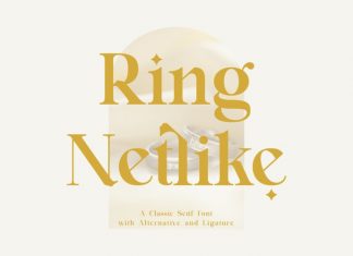 Ring Netlike Serif Font