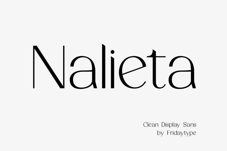Nalieta Sans Serif Font
