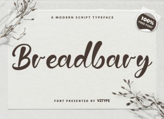 Breadbary Script Font