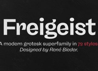Freigeist Sans Serif Font