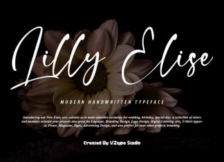 Lilly Elise Script Font