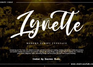 Lynette Script Font