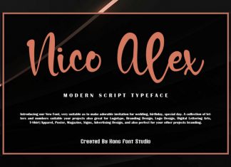 Nico Alex Script Font