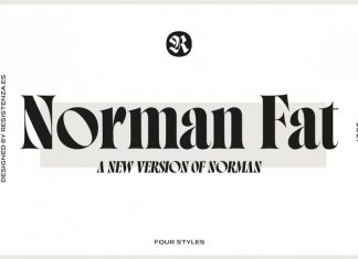 Norman Fat Serif Font