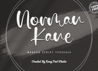 Norman Kane Script Font