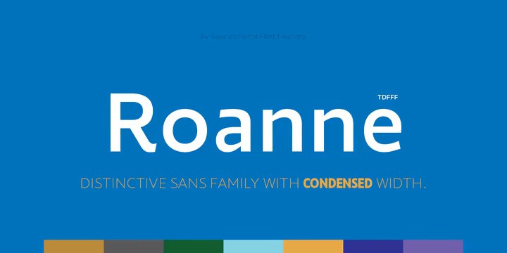 Roanne Sans Serif Font