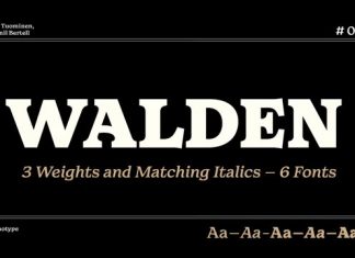 Walden Serif Font