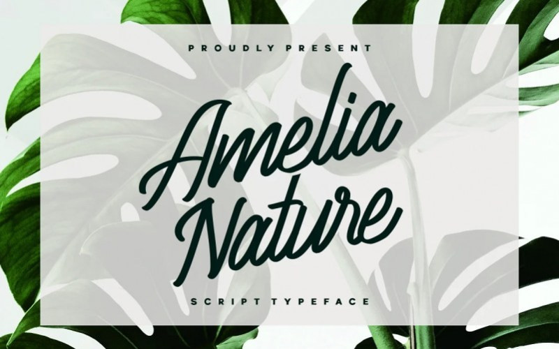 Amelia Nature Handwritten Font