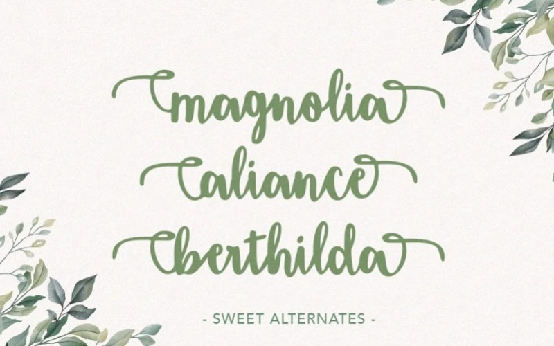 Amigueta Script Font