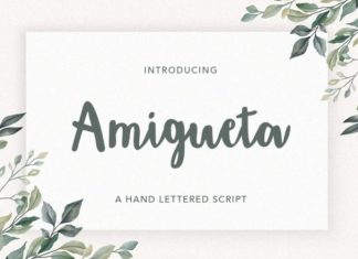 Amigueta Script Font