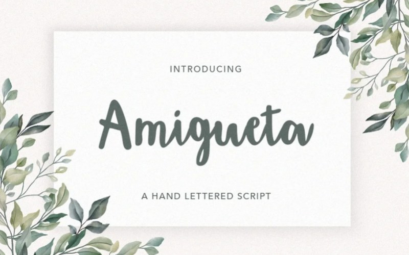 Amigueta Script Font