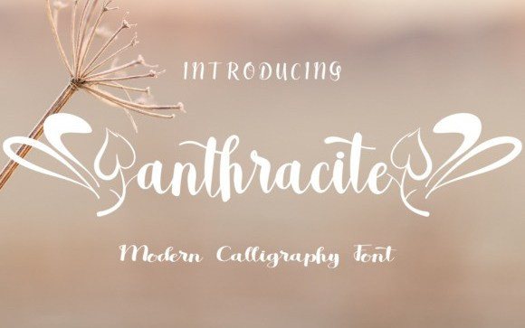 Anthracite Script Font