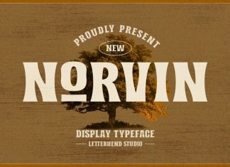 Norvin Display Font