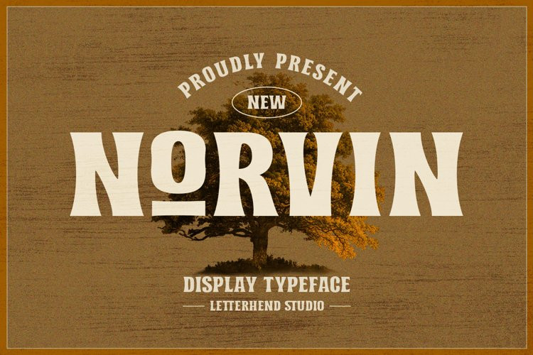 Norvin Display Font