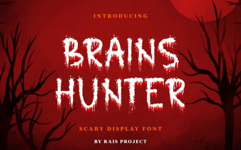 Brains Hunter Display Font