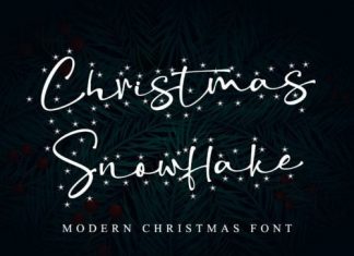 Christmas Snowflake Script Font