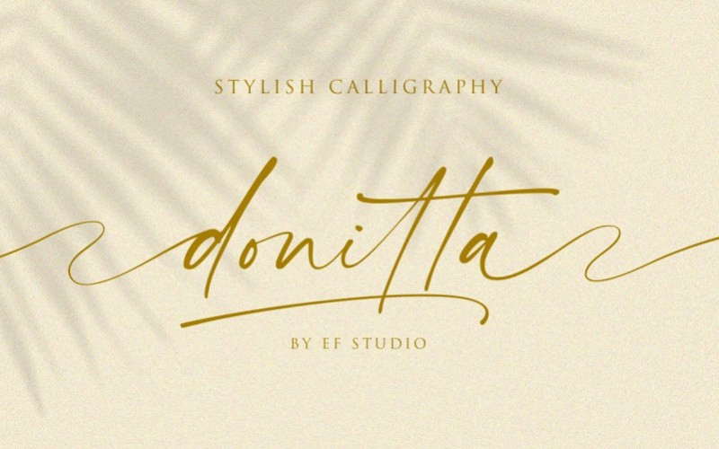 Donitta Script Font