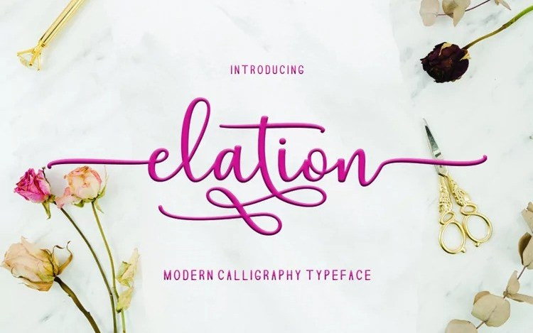 Elation Calligraphy Font