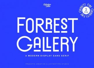 Forrest Gallery Sans Serif Font