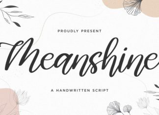 Meanshine Script Font