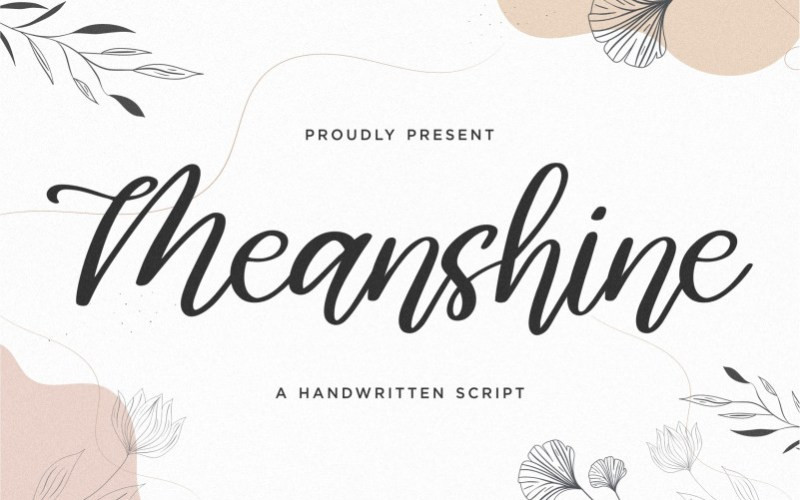 Meanshine Script Font