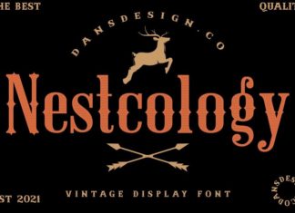 Nestcology Display Font