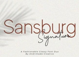 Sansburg Font Duo