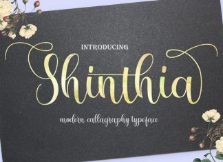 Shinthia Calligraphy Font