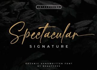 Spectacular Script Font