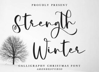 Strength Winter Script Font