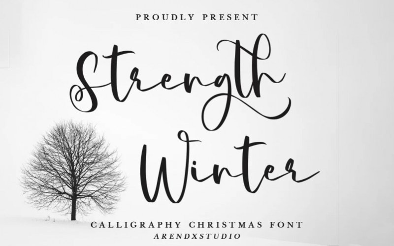 Strength Winter Script Font