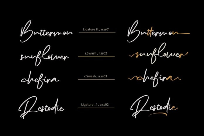 The Diary Handwritten Font