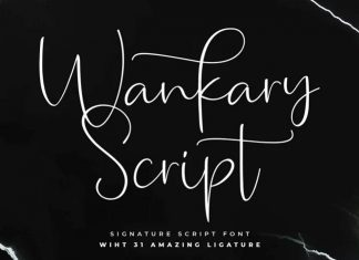 Wankary Script Font
