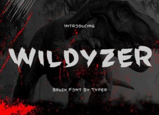 Wildyzer Brush Font