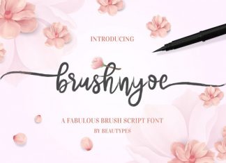 Brushnyoe Script Font