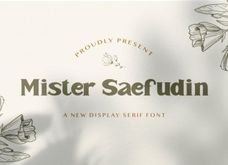 Mister Saefudin Serif Font