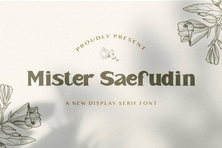Mister Saefudin Serif Font