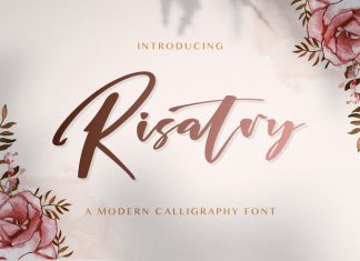 RISATRY Script Font