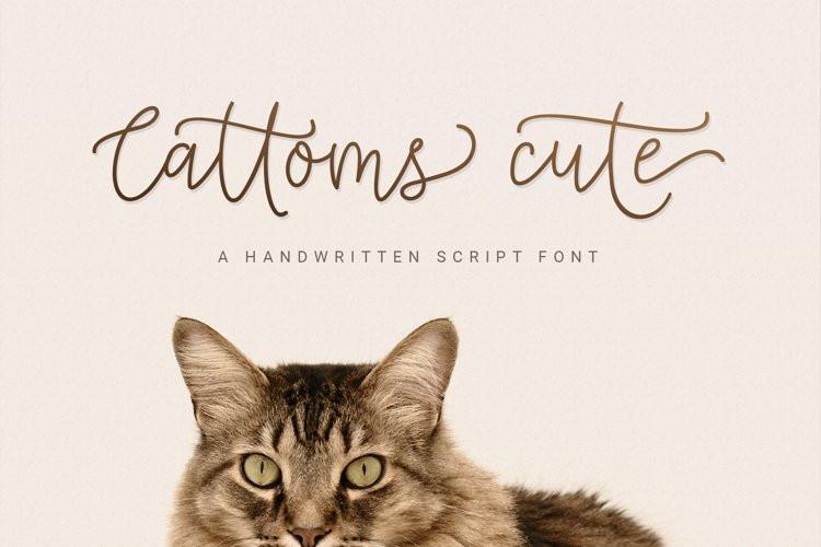 Cattoms Cute Handwritten Font