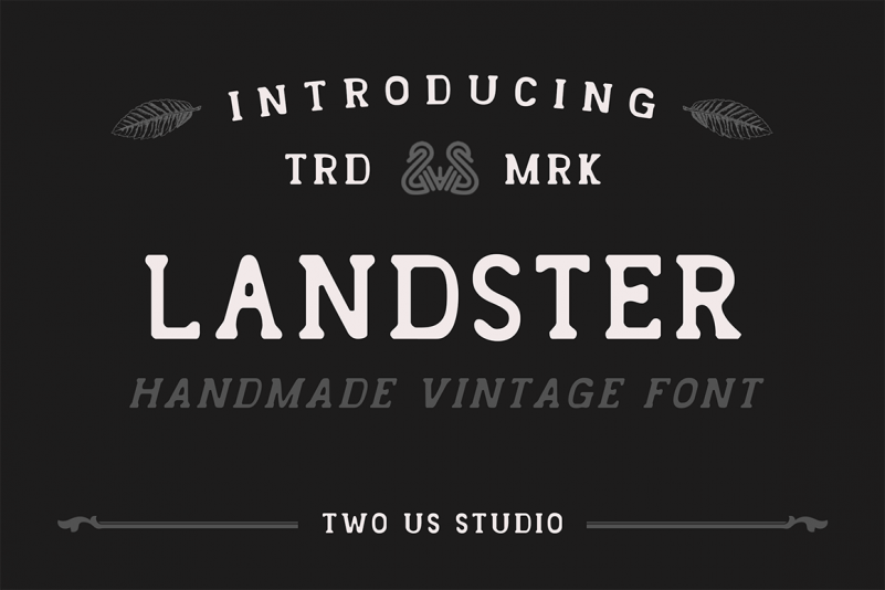 Landster Serif Font