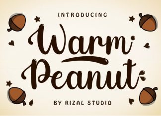 Warm Peanut Handwritten Font