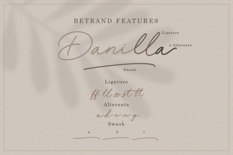 Betrand Handwritten Font