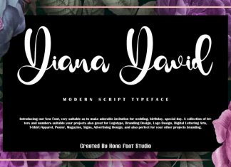Diana David Script Font