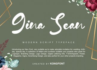 Gina Sean Script Font